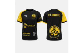 Tee-Shirt du DNS